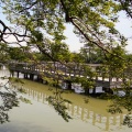 実際訪問したユーザーが直接撮影して投稿した天神神社長岡天満宮の写真