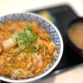 親子丼 - 実際訪問したユーザーが直接撮影して投稿した北豊中町牛丼吉野家 第2阪和泉大津店の写真のメニュー情報