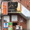 実際訪問したユーザーが直接撮影して投稿した原町田テーマカフェねこのみせの写真