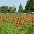 実際訪問したユーザーが直接撮影して投稿した布施公園あけぼの山農業公園の写真