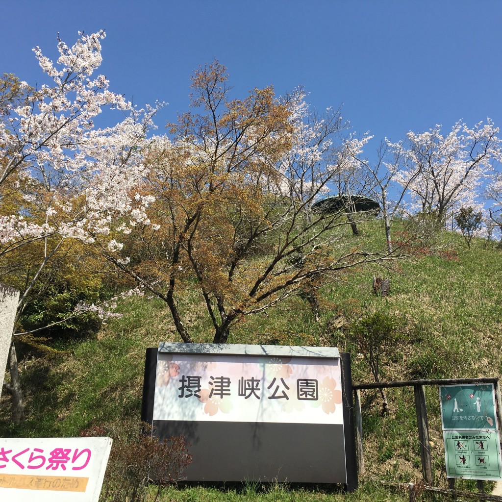 実際訪問したユーザーが直接撮影して投稿した塚脇公園摂津峡公園の写真