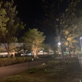 実際訪問したユーザーが直接撮影して投稿した日永東公園中央緑地の写真