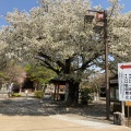 実際訪問したユーザーが直接撮影して投稿した松本町庭園保和苑の写真