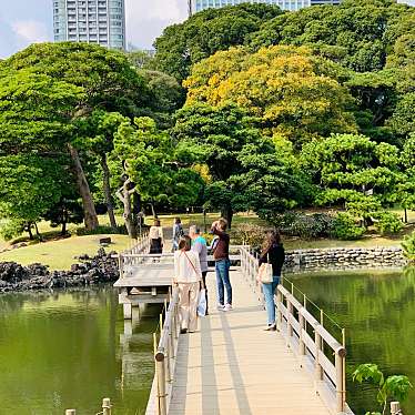 実際訪問したユーザーが直接撮影して投稿した浜離宮庭園橋浜離宮恩賜庭園 海手お伝い橋の写真