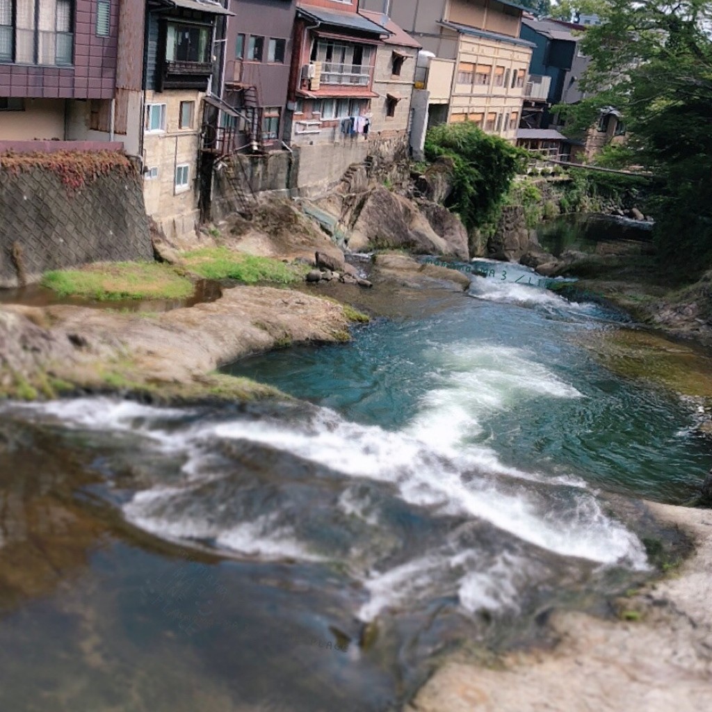 実際訪問したユーザーが直接撮影して投稿した修善寺橋渡月橋(みそめ橋)の写真