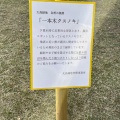 実際訪問したユーザーが直接撮影して投稿した大高町公園大高緑地の写真