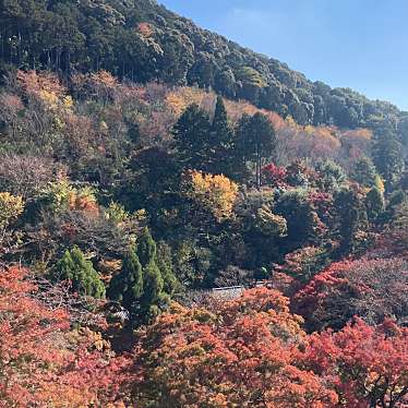 京ばあむ 嵐山店のundefinedに実際訪問訪問したユーザーunknownさんが新しく投稿した新着口コミの写真