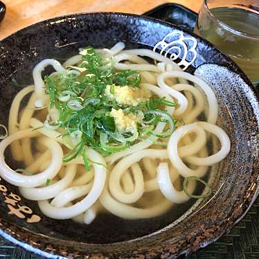 実際訪問したユーザーが直接撮影して投稿した舟津町うどんはなまるうどん 大浦街道店の写真