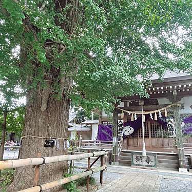 実際訪問したユーザーが直接撮影して投稿した印内神社八坂神社の写真