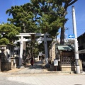 実際訪問したユーザーが直接撮影して投稿した宮ノ前神社猪名野神社の写真