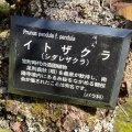 実際訪問したユーザーが直接撮影して投稿した城戸ノ内町庭園一乗谷朝倉氏庭園の写真