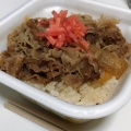 牛丼ミニ弁当 - 実際訪問したユーザーが直接撮影して投稿した新田牛丼すき家 西条新田店の写真のメニュー情報