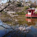 実際訪問したユーザーが直接撮影して投稿した高師公園茂原公園の写真