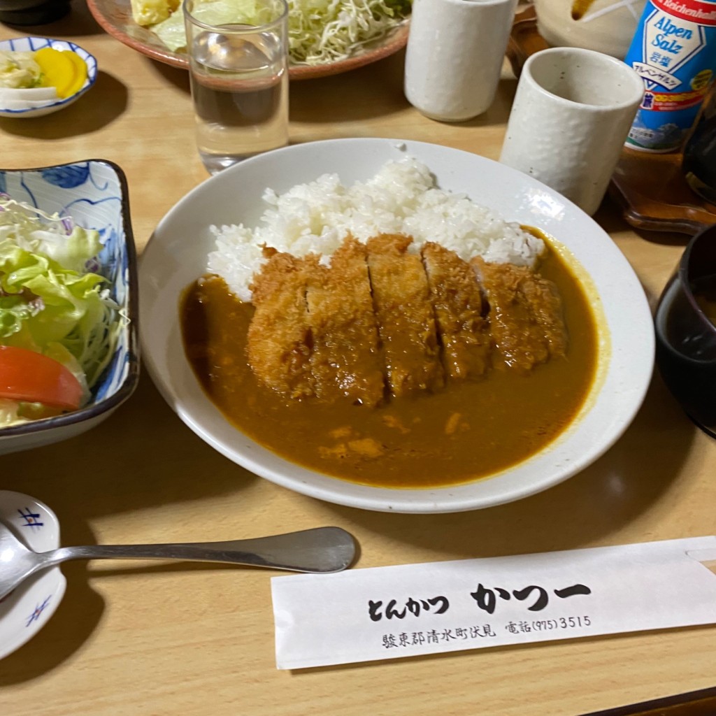 ユーザーが投稿したかつカレーの写真 - 実際訪問したユーザーが直接撮影して投稿した伏見とんかつかつ一の写真