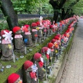 実際訪問したユーザーが直接撮影して投稿した芝公園歴史 / 遺跡徳川将軍家墓所の写真