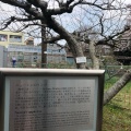 実際訪問したユーザーが直接撮影して投稿した白山植物園 / 樹木園小石川植物園の写真