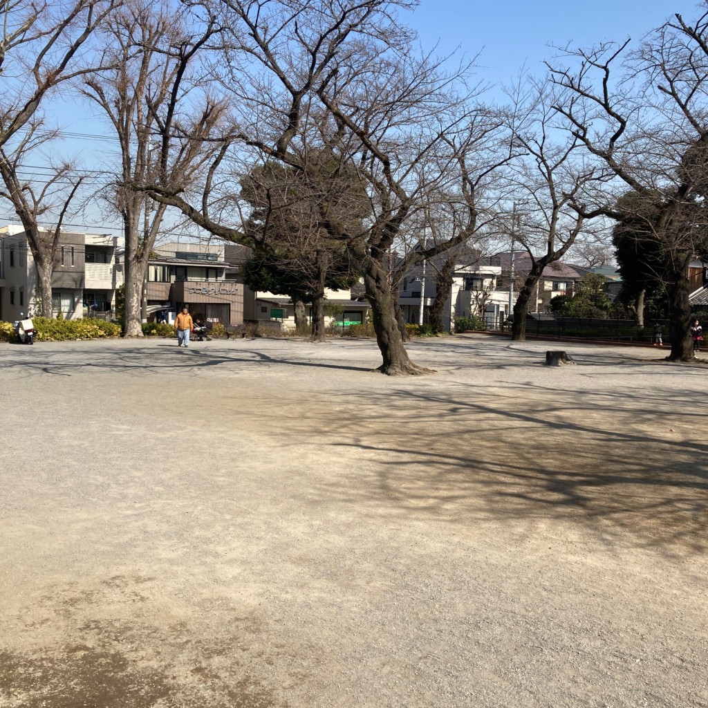 実際訪問したユーザーが直接撮影して投稿した常盤台公園常盤台公園の写真