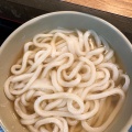 かけうどん - 実際訪問したユーザーが直接撮影して投稿した弘田町うどん製麺七や 弘田店の写真のメニュー情報