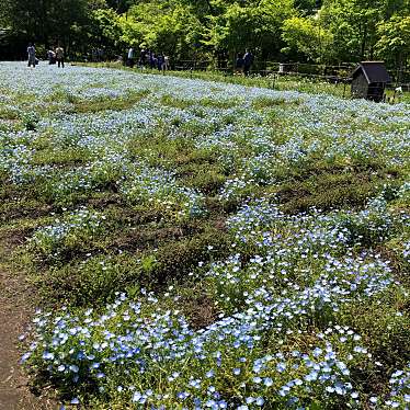 ぎふ清流里山公園のundefinedに実際訪問訪問したユーザーunknownさんが新しく投稿した新着口コミの写真