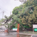 実際訪問したユーザーが直接撮影して投稿した下新田神社玉村八幡宮の写真