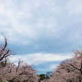 実際訪問したユーザーが直接撮影して投稿した上野公園公園上野恩賜公園の写真