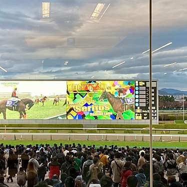 実際訪問したユーザーが直接撮影して投稿した駒の町競馬場阪神競馬場の写真