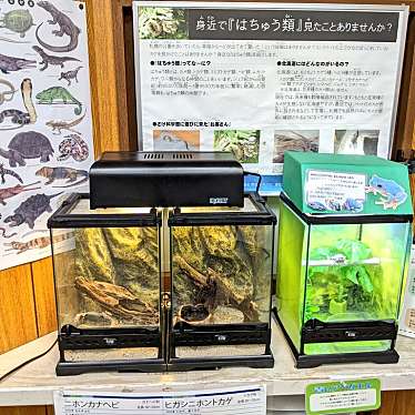 実際訪問したユーザーが直接撮影して投稿した真駒内公園科学館札幌市豊平川さけ科学館の写真
