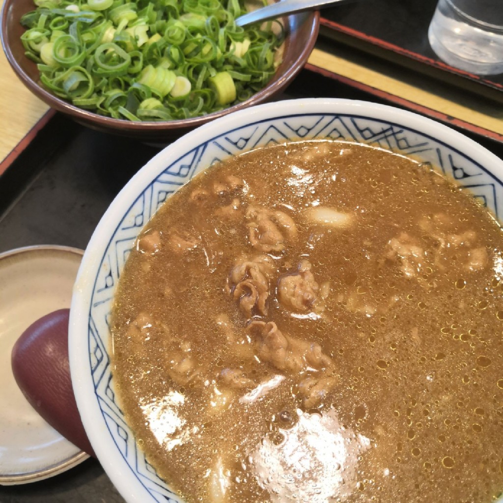 ユーザーが投稿したカレーうどんの写真 - 実際訪問したユーザーが直接撮影して投稿した南町うどんどんどん ゆめタウン柳井店の写真