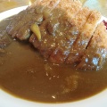 カツカレー - 実際訪問したユーザーが直接撮影して投稿した二藤袋ステーキステーキ&洋食 レストラン徳良湖の写真のメニュー情報