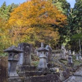 実際訪問したユーザーが直接撮影して投稿した亀岡寺亀岡文殊堂の写真