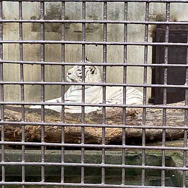 宇都宮動物園のundefinedに実際訪問訪問したユーザーunknownさんが新しく投稿した新着口コミの写真