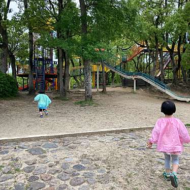 実際訪問したユーザーが直接撮影して投稿した金岡町公園大泉緑地 わんぱくランドの写真