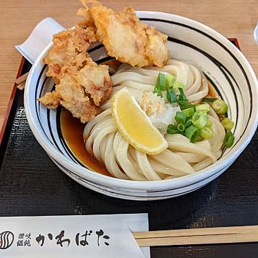 実際訪問したユーザーが直接撮影して投稿した下新庄うどん讃岐饂飩 かわばたの写真