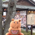 実際訪問したユーザーが直接撮影して投稿した桜台神社櫻木神社の写真