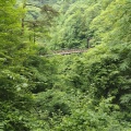 実際訪問したユーザーが直接撮影して投稿した山 / 峠三頭山の写真