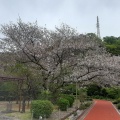 実際訪問したユーザーが直接撮影して投稿した土肥歴史 / 遺跡土肥金山の写真