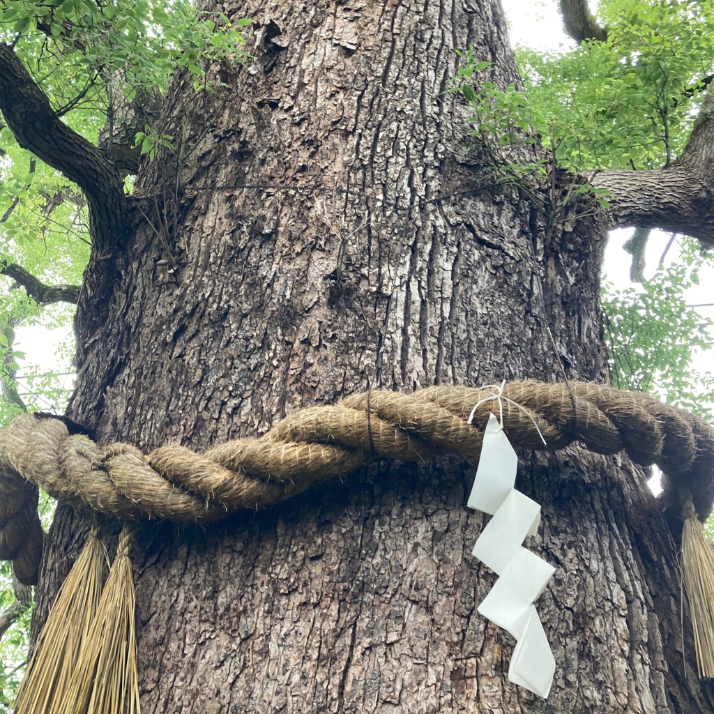 おとうしゃんさんが投稿した今熊野椥ノ森町神社のお店新熊野神社/イマクマノジンジャの写真