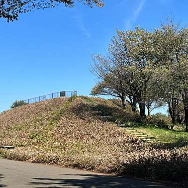 実際訪問したユーザーが直接撮影して投稿した関野町地域名所小金井公園富士見の丘の写真