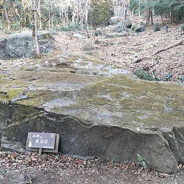 実際訪問したユーザーが直接撮影して投稿した小野公園小町山の写真