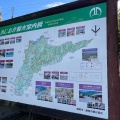 実際訪問したユーザーが直接撮影して投稿した三波川公園桜山公園の写真