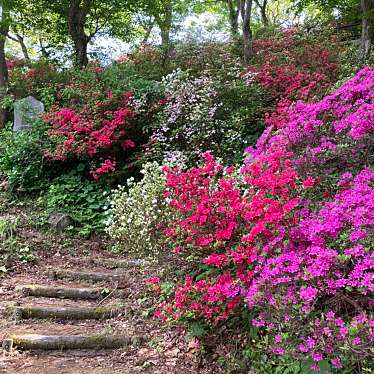 実際訪問したユーザーが直接撮影して投稿した大鰐公園茶臼山公園の写真