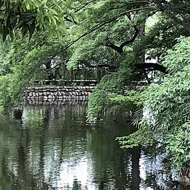 Mimmiさんが投稿した高鼻町神社のお店武蔵一宮 氷川神社/ムサシイチノミヤ ヒカワジンジャの写真