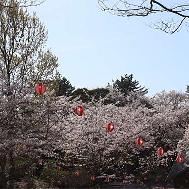 実際訪問したユーザーが直接撮影して投稿した小野田公園若山公園の写真