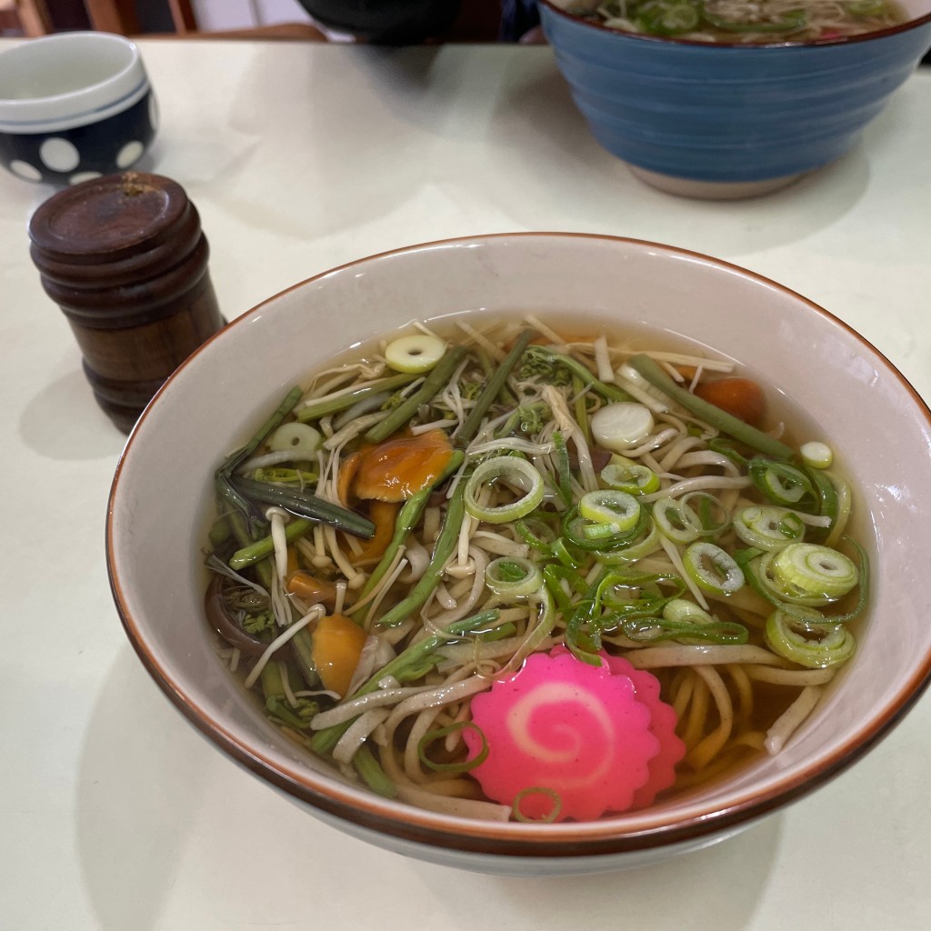 ユーザーが投稿した山菜そばの写真 - 実際訪問したユーザーが直接撮影して投稿した霧島田口うどん江口家の写真