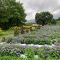 実際訪問したユーザーが直接撮影して投稿した西原公園安曇野ちひろ公園の写真