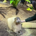 実際訪問したユーザーが直接撮影して投稿した日進町カフェカフェ クラムの写真