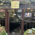 実際訪問したユーザーが直接撮影して投稿した西湖洞窟 / 鍾乳洞西湖コウモリ穴の写真