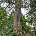 実際訪問したユーザーが直接撮影して投稿した佐田町須佐神社須佐神社の写真