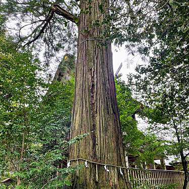 実際訪問したユーザーが直接撮影して投稿した佐田町須佐神社須佐神社の写真