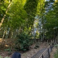 実際訪問したユーザーが直接撮影して投稿した滝の宮町公園滝の宮公園の写真